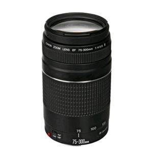 Canon EF 75-300mm lens